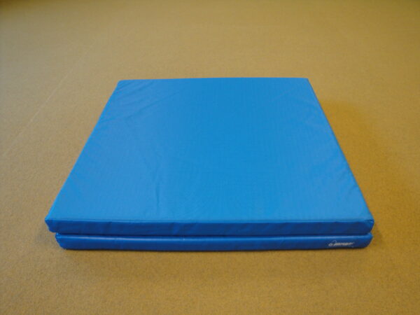 Foldable gym mat 200x100x6 cm