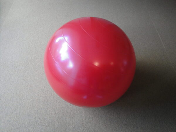 Võimlemispall TPE Amaya, d=65 cm