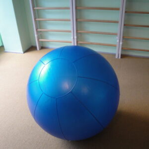 Võimlemispall TPE Amaya, d=85 cm