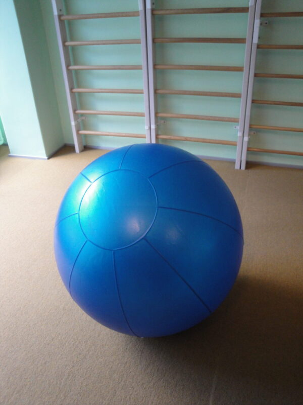 Võimlemispall TPE Amaya, d=85 cm
